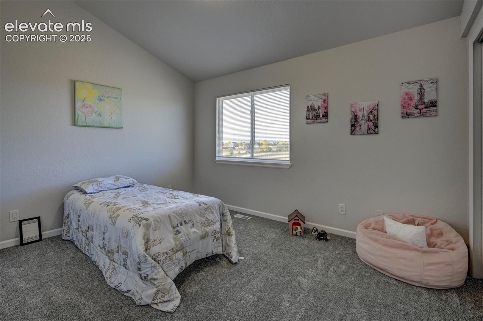 Vaulted ceiling, neutral wall tones, wall-to-wall carpeting, and a large window