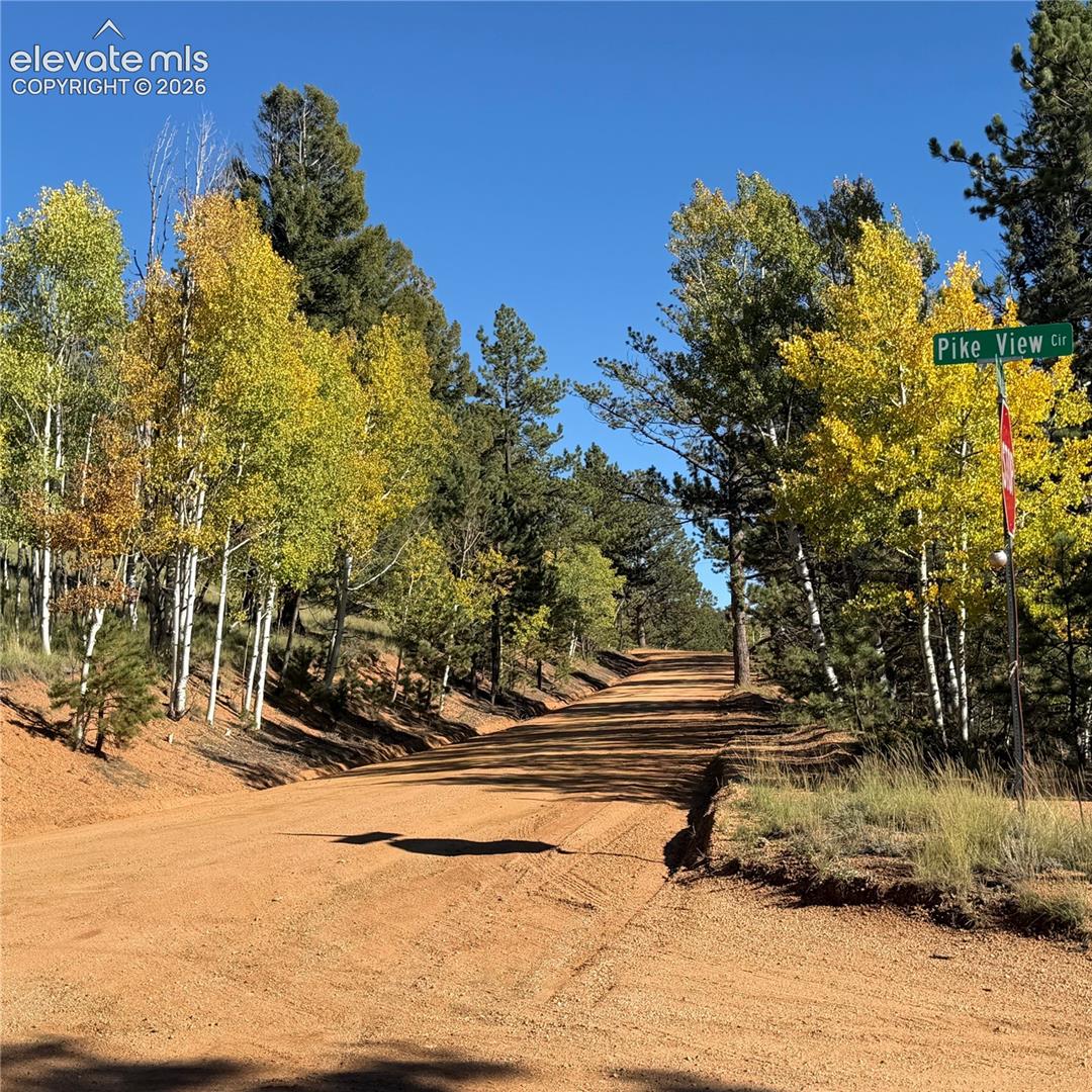 Pike View Circle with a dirt road, surrounded by mature trees, and a clear blue sky overhead