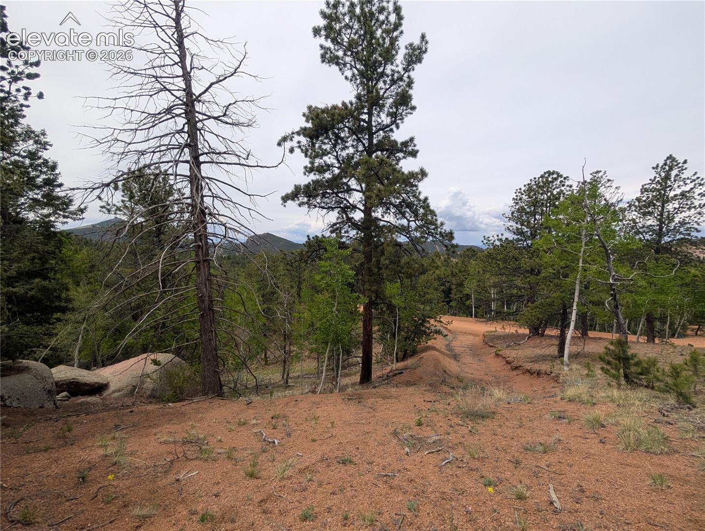 Photo 6 of 16 Princess Lane, Cripple Creek