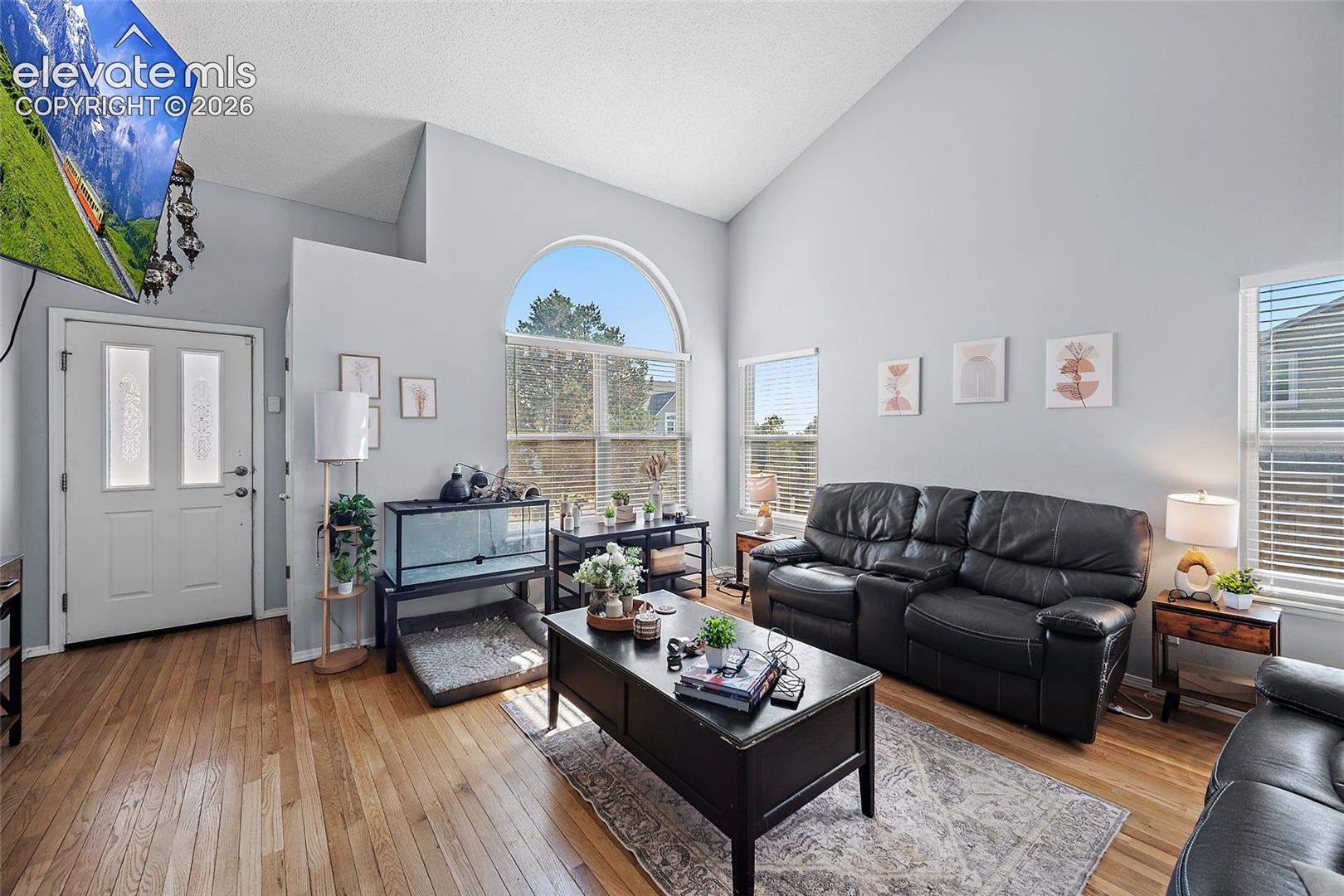 Vaulted ceiling, wood-finish flooring, arched window, multiple windows with blinds, and a white entry door with frosted glass panels