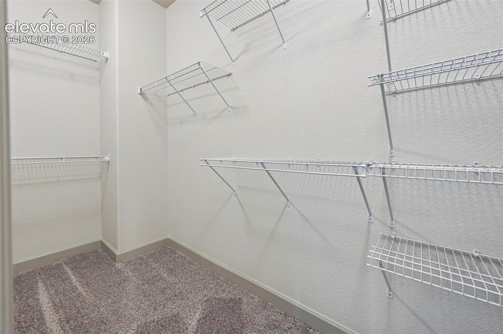 Storage area featuring wall-to-wall carpeting and multi-level white wire shelving