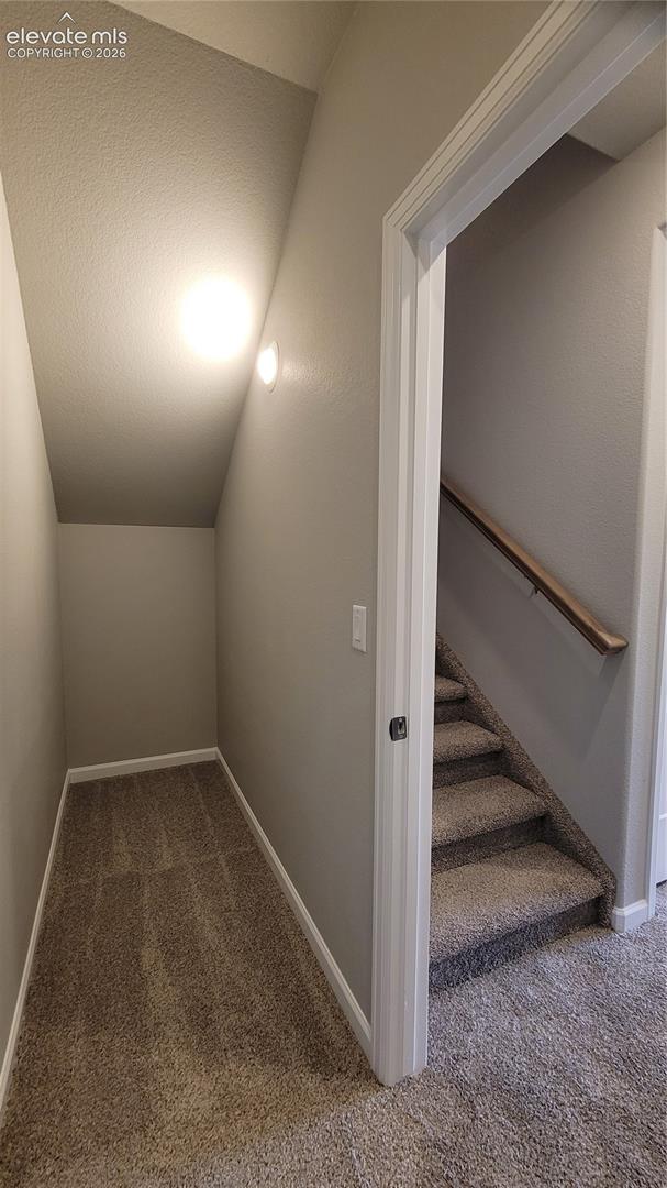 Another view of storage closet in the basement! 