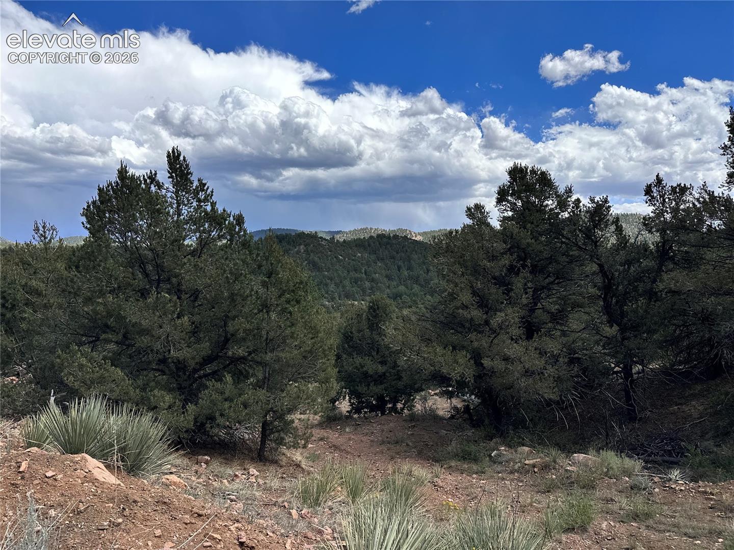 Expansive natural landscape 