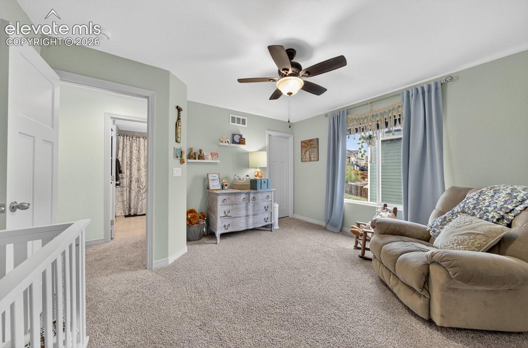 Upper level, new carpet, ceiling fan, walk-in closet
