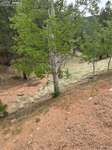 Photo 7 of 1600 Pikes Peak Drive, Divide