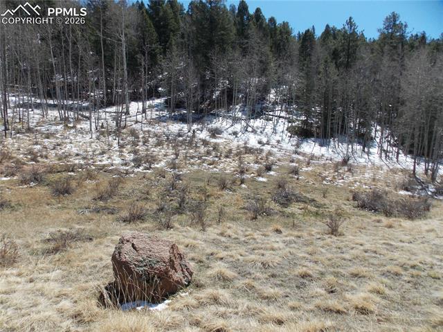 Photo 4 of 388 Grey Eagle Drive, Cripple Creek