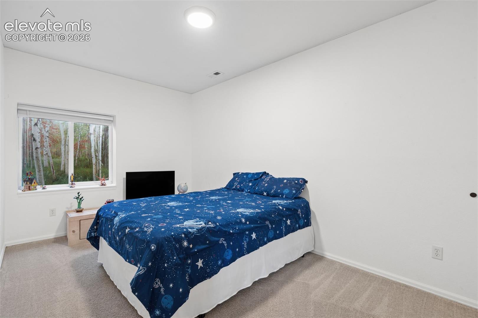 Walk in closet, neutral wall paint, carpeted flooring, and a large window