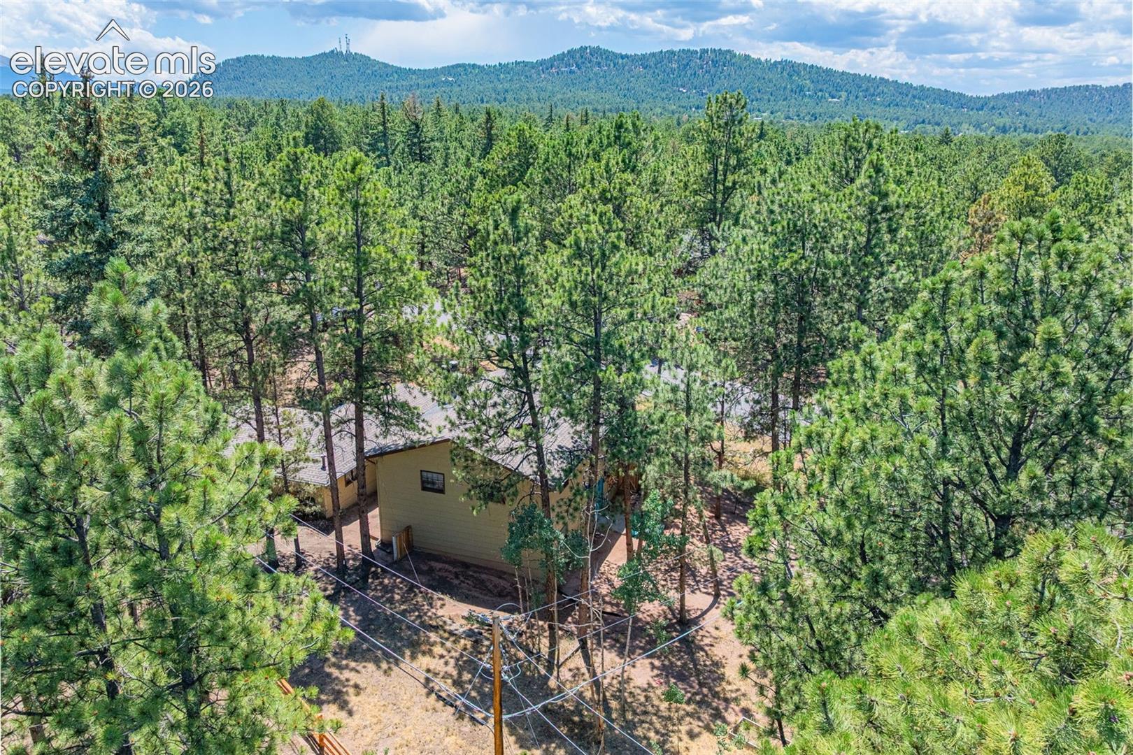 917 Centre Camino NA, Woodland Park, CO 80863