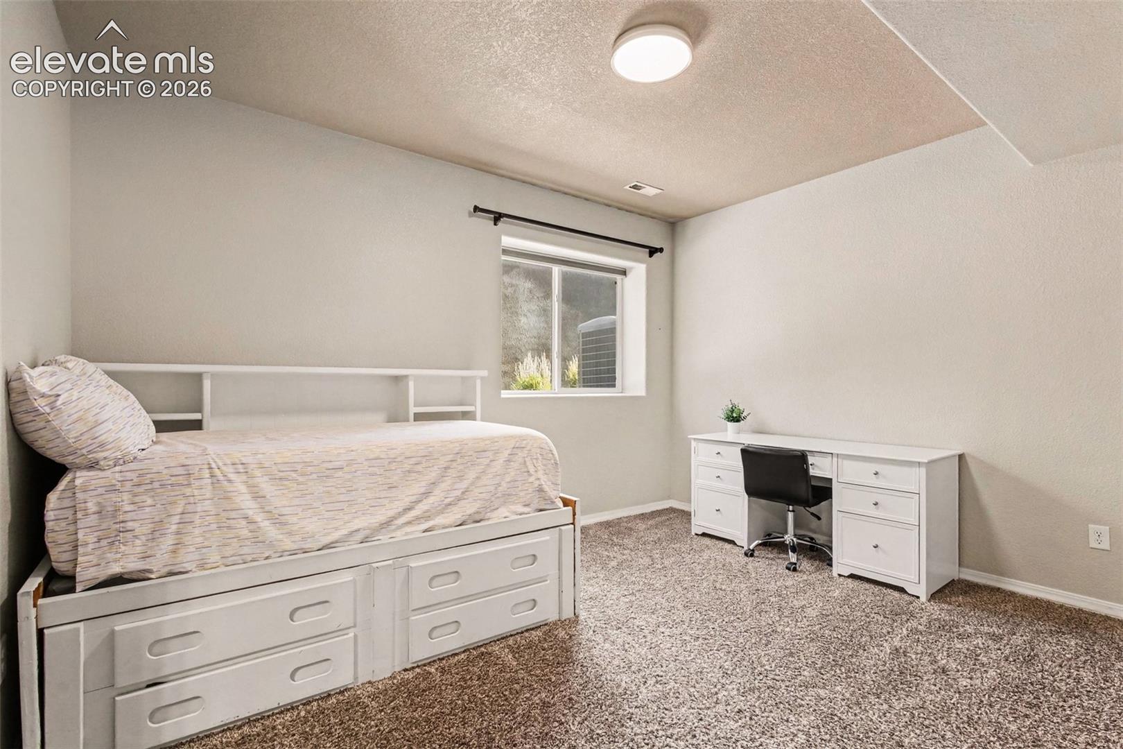 2nd Basement Bedroom