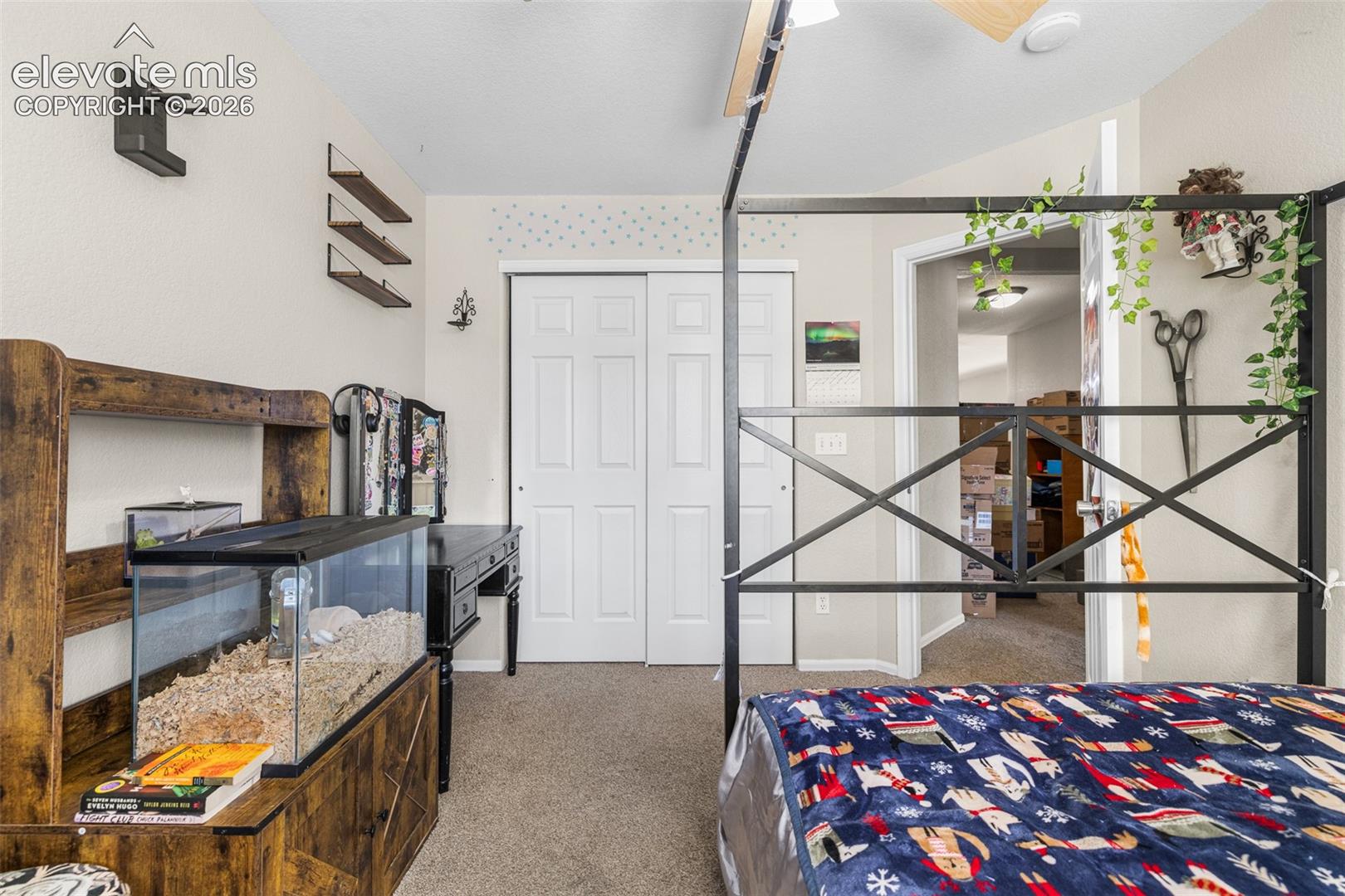 Neutral interior featuring carpeted flooring, white dual-panel closet doors, and wall-mounted shelving