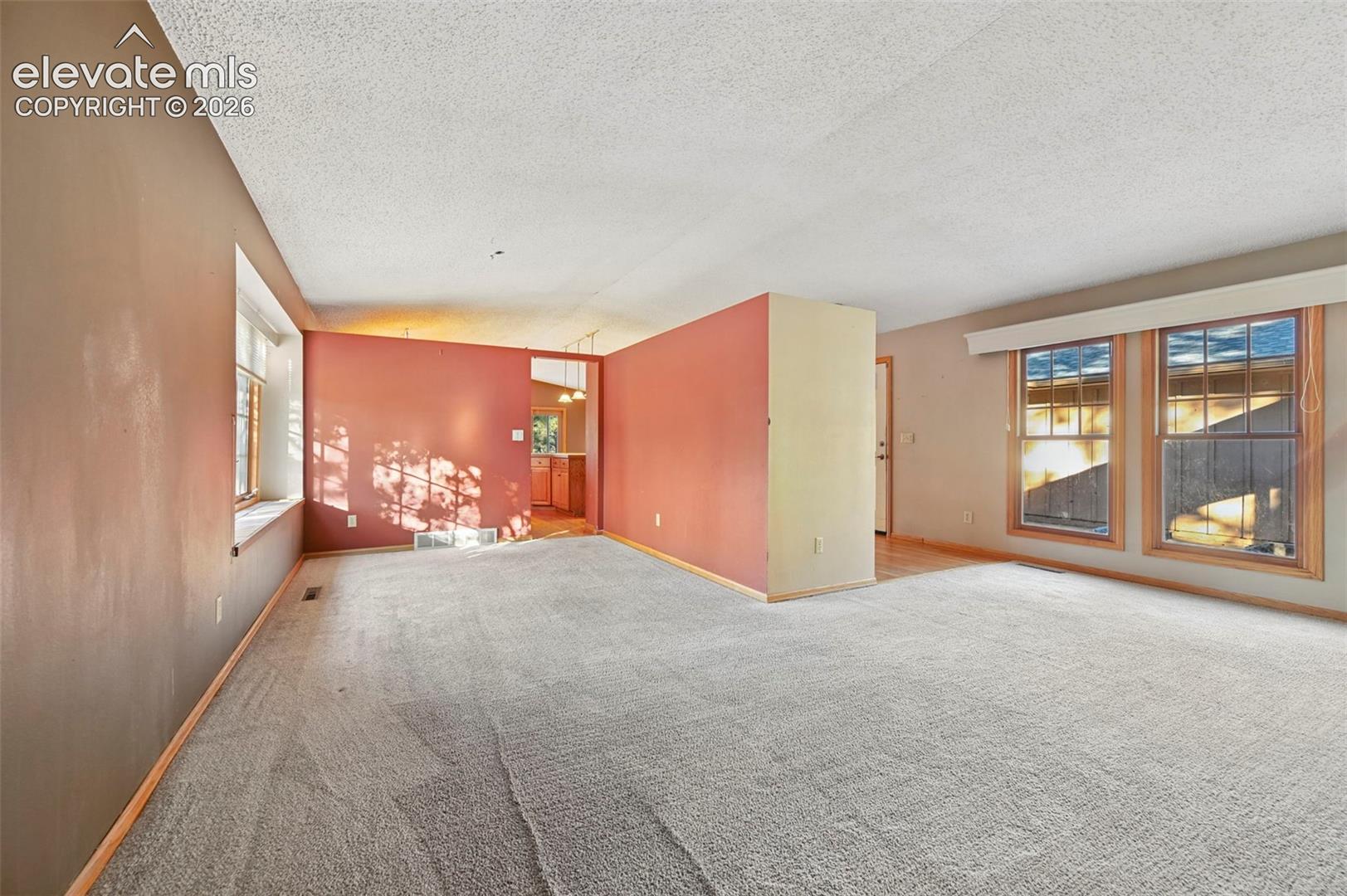 Expansive carpeted area with multiple windows and a half-height partition wall
