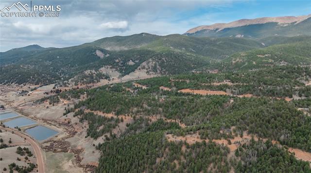 881 Timber Ridge Rd, Divide, CO 80814