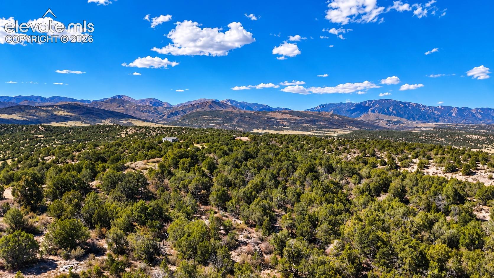 Expansive acreage featuring mature vegetation and mountain scenery