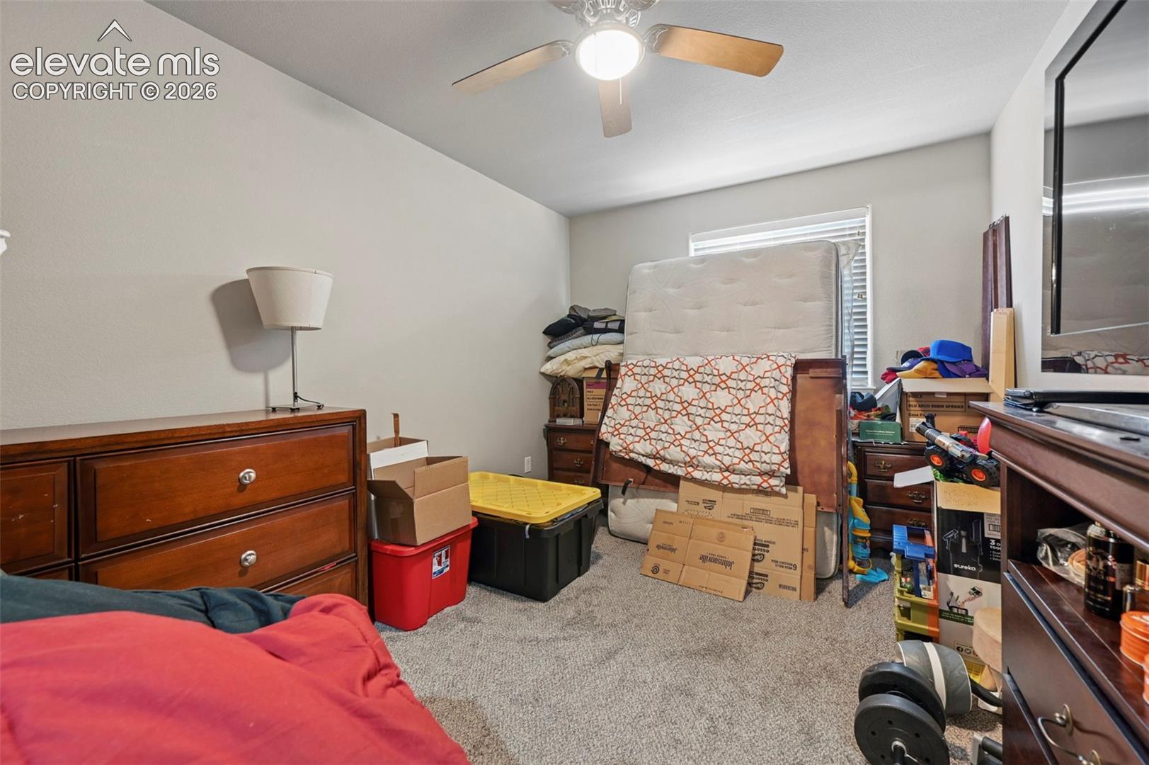 Carpeted room featuring a ceiling fan with light fixture, a window with blinds, and light-toned wall paint