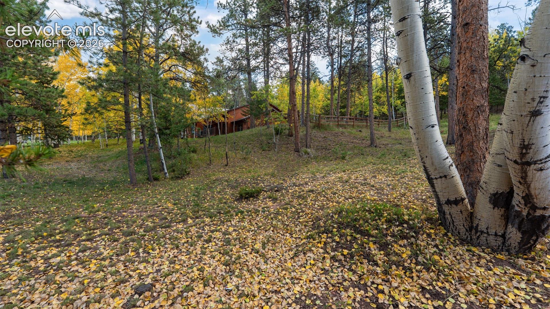Photo 30 of 1001 Paradise Valley Drive, Woodland Park