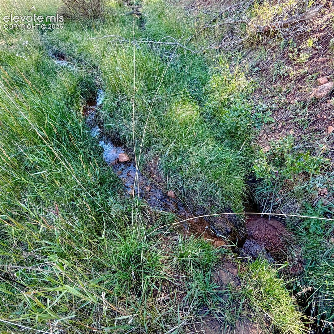 seasonal babbling brook