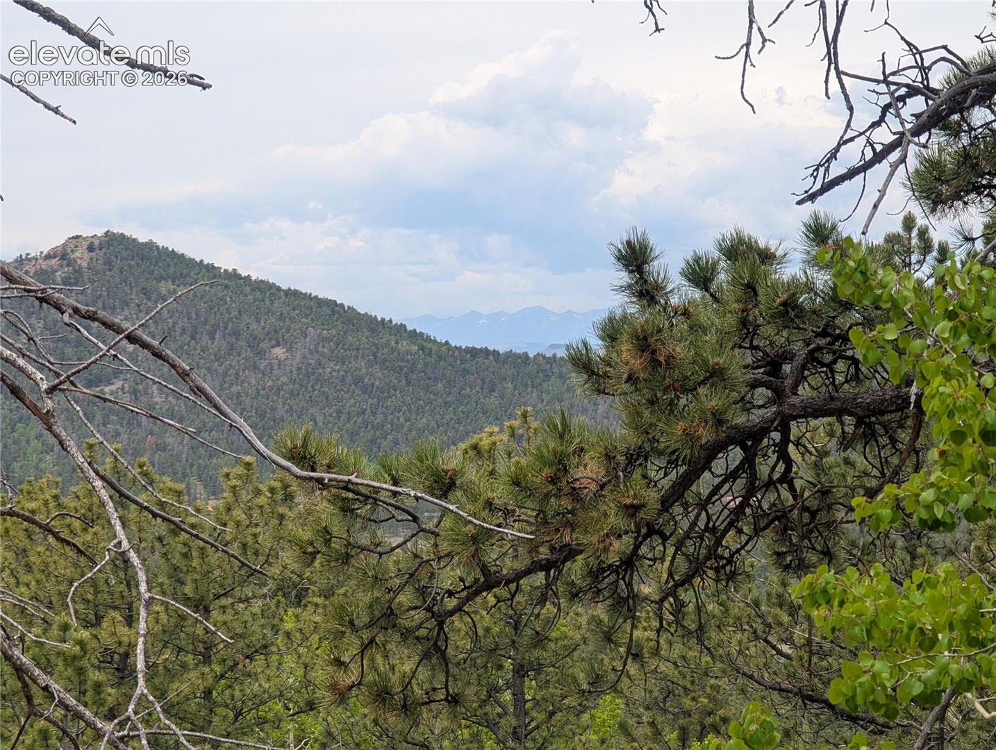 Photo 10 of 16 Princess Lane, Cripple Creek