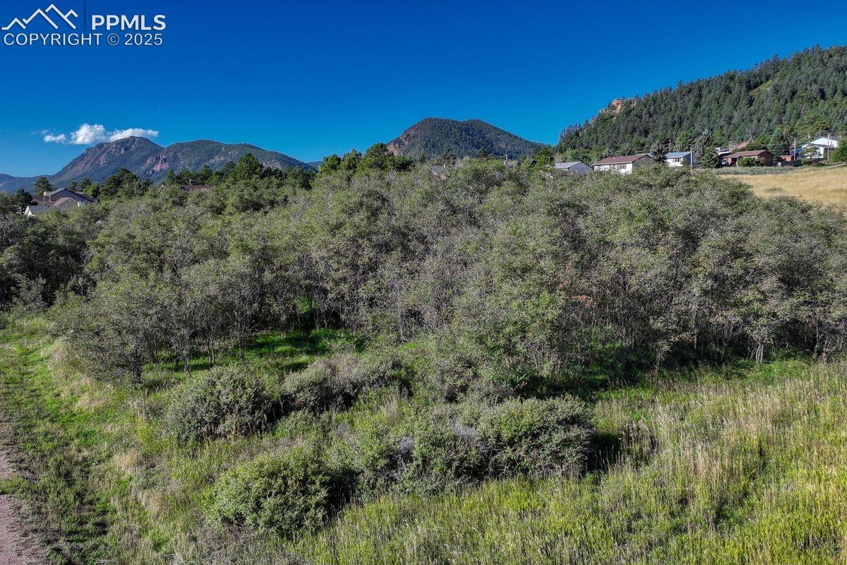 Photo 16 of 15989 S Perry Park Road, Larkspur
