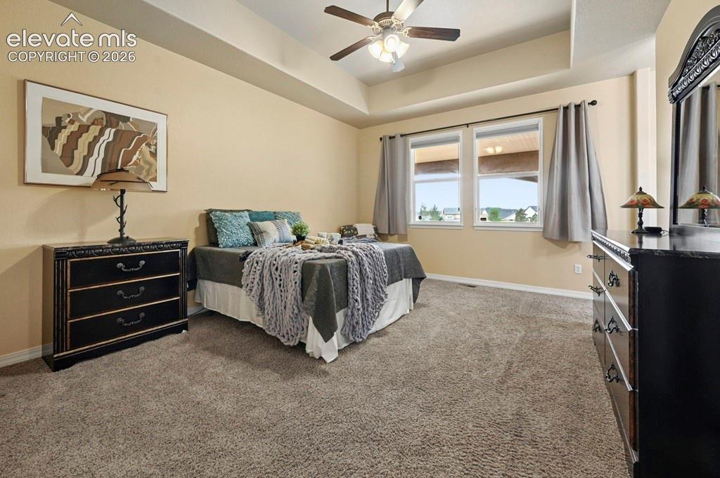 Tray ceiling with a ceiling fan, two windows, and carpet flooring