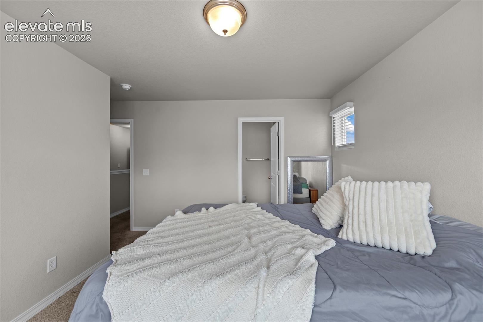 Wall-to-wall carpeting with light gray walls and a window with blinds