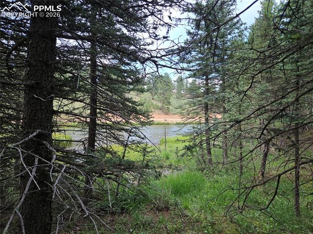 Photo 29 of 702 Lake Drive, Divide