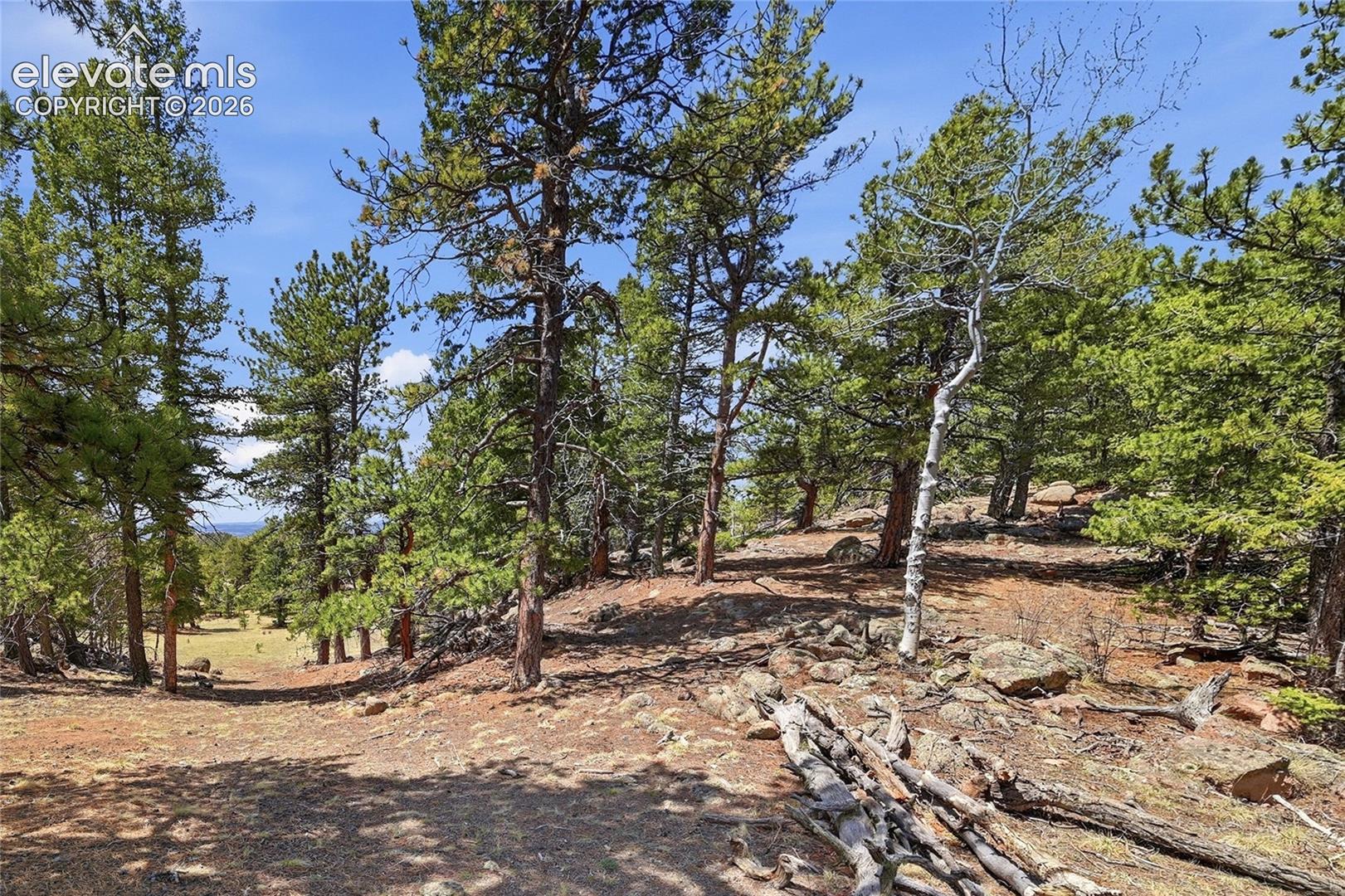 Photo 18 of 7070 County Road 1, Cripple Creek