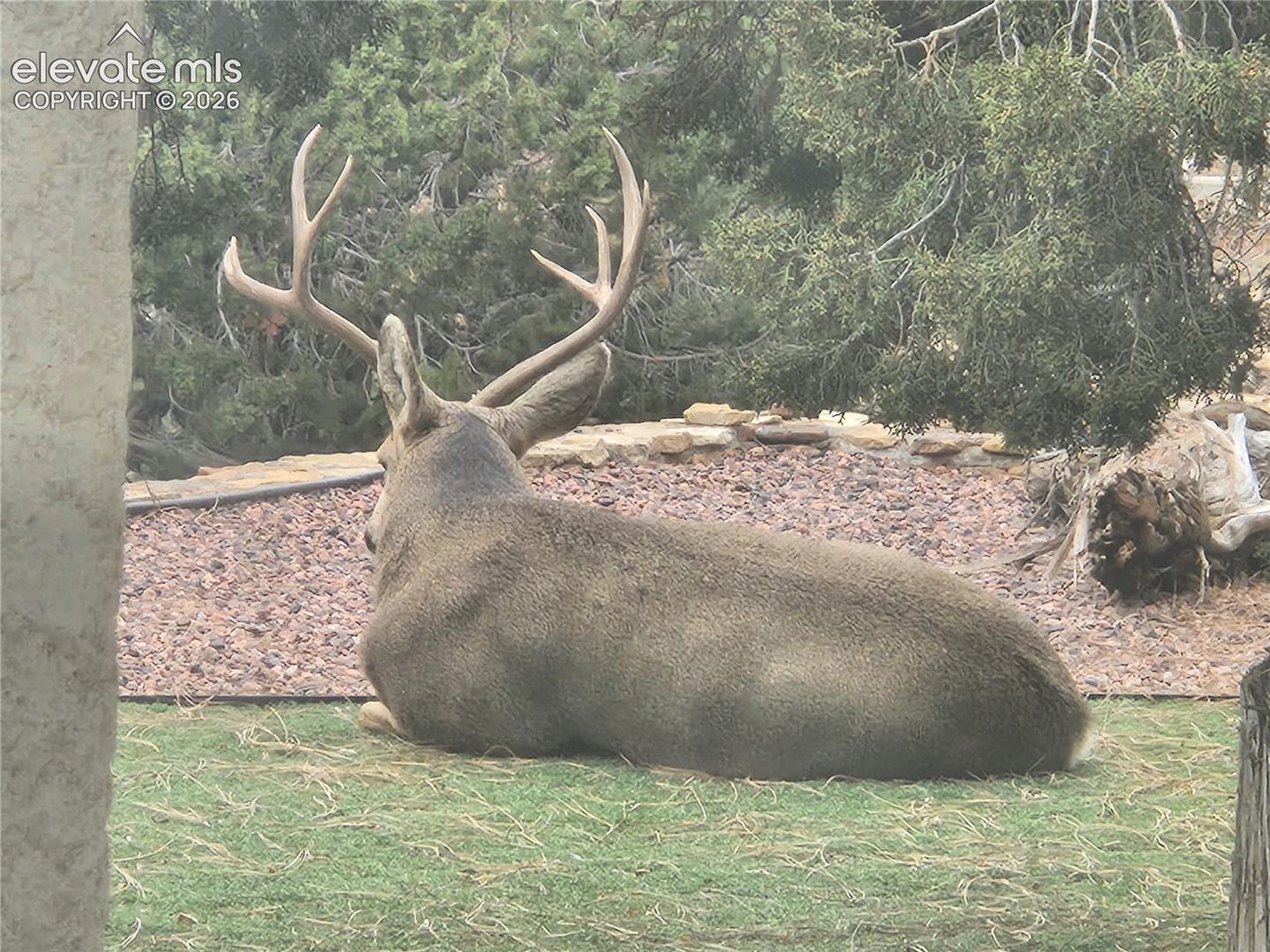 Enjoy wildlife 
