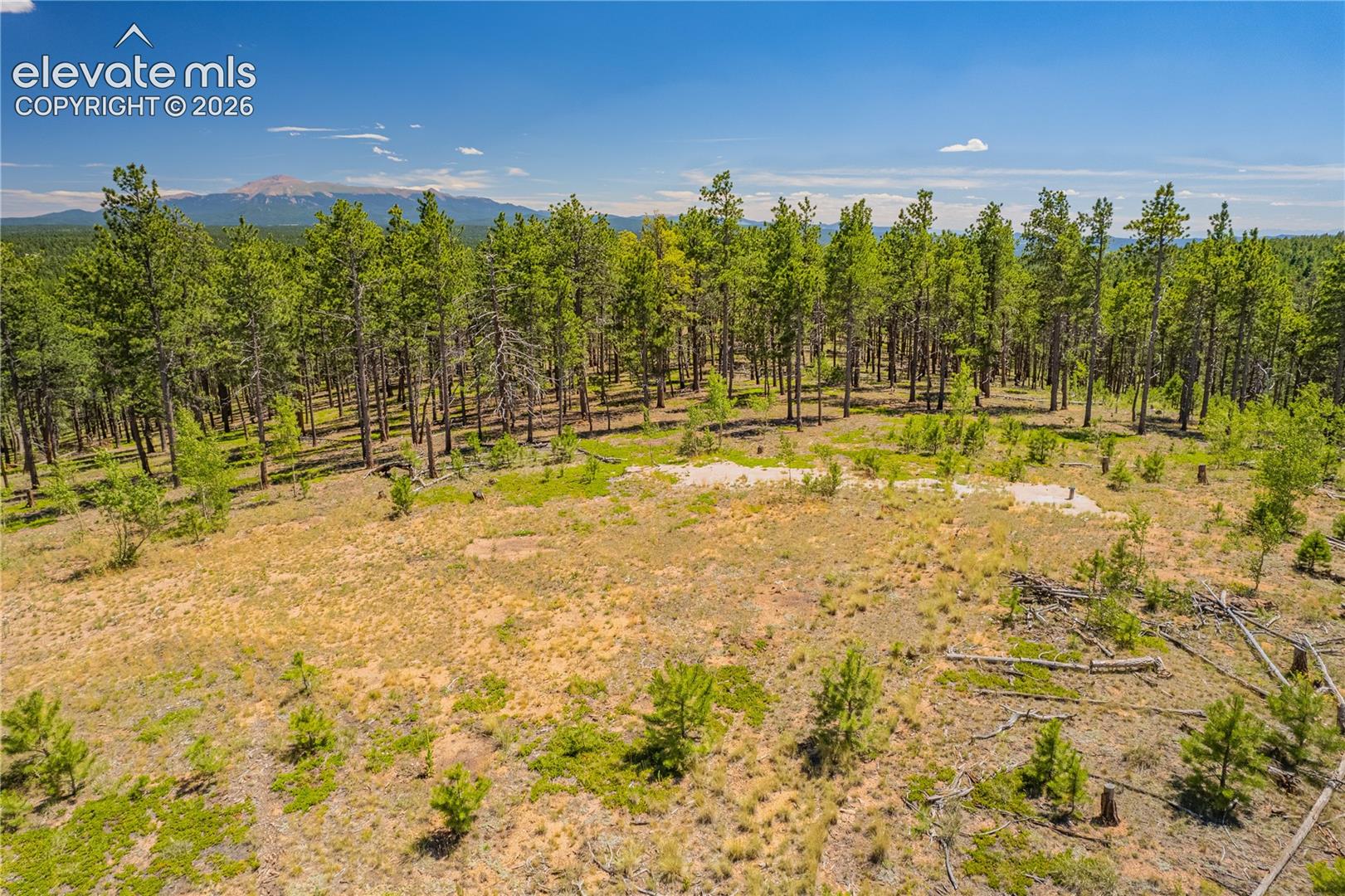 Unit 2 County Road 51, Florissant, CO 80816
