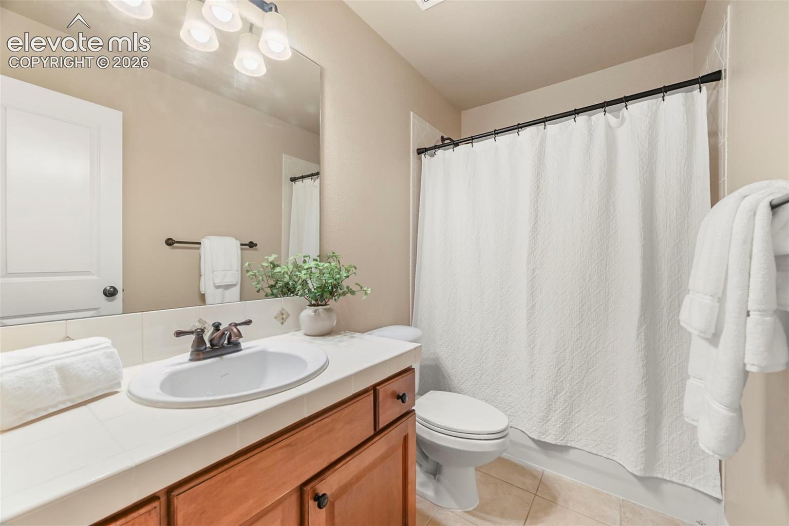 Basement bathroom