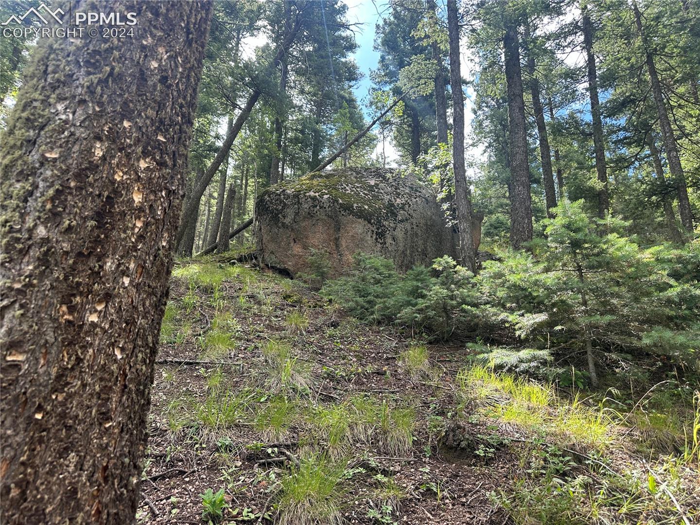 Rock outcroppings