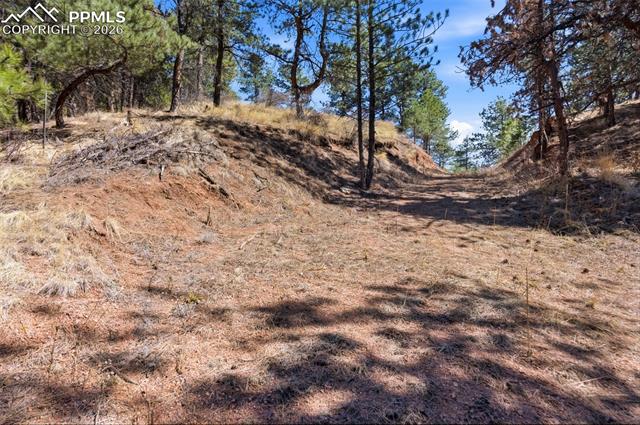 Easement off of Packard. Not public property. Approval needed to use.