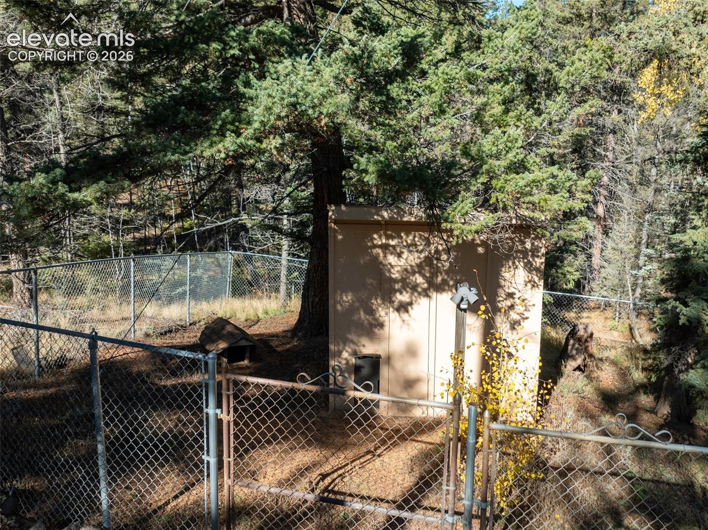 Dog run with heated doghouse. Electric and light.