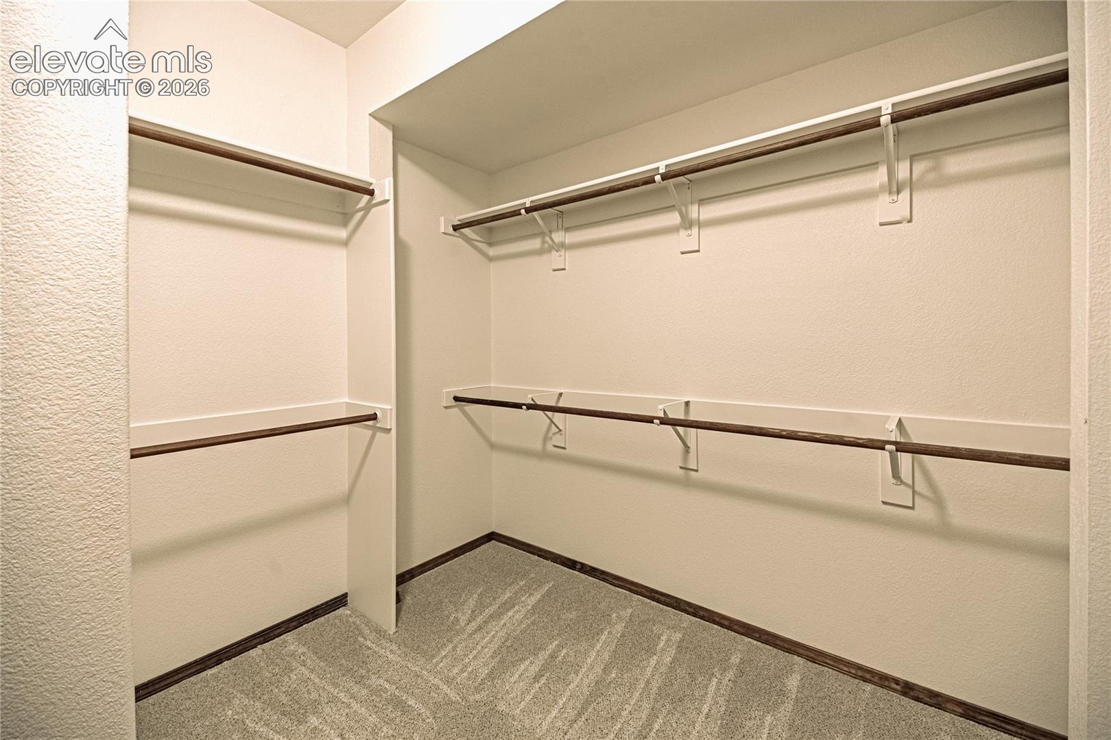 Walk-in closet featuring white painted walls, multi-level hanging rods, built-in shelving, and light-toned carpet flooring