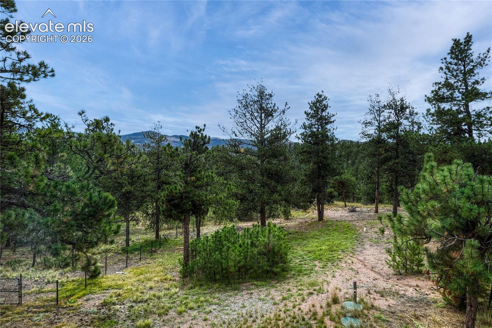 Wooded lot featuring mature pine trees, natural terrain, and mountain backdrop