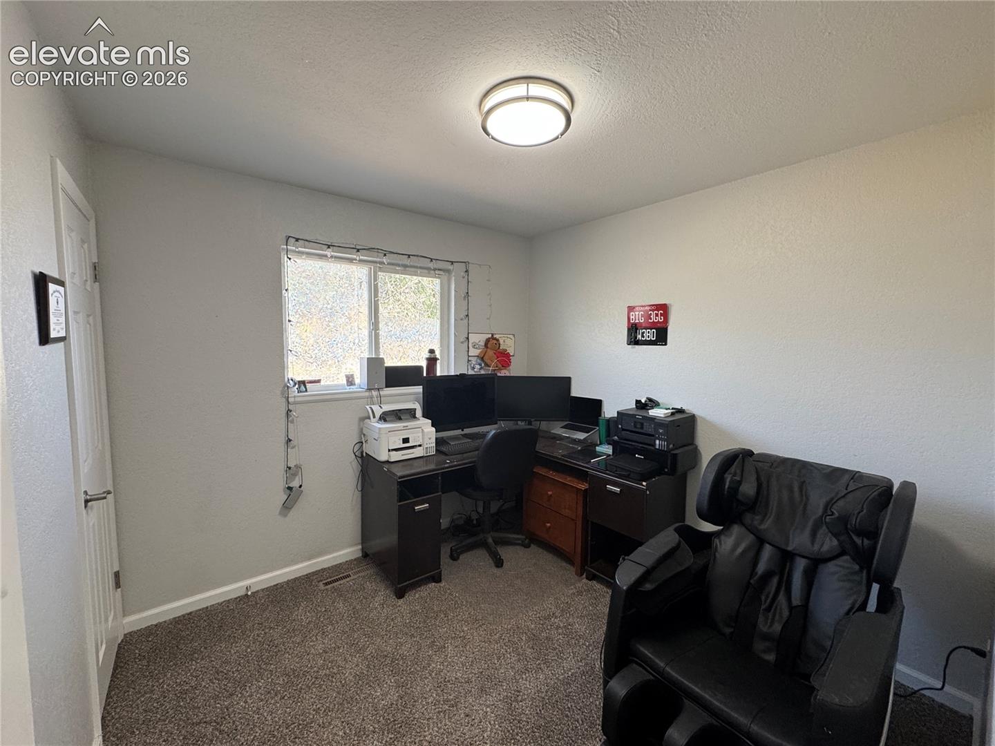 Window with natural light, textured walls, flush-mount ceiling light, and carpeted flooring