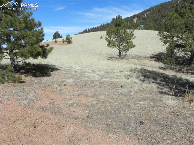 Photo 6 of 1087 Monarch Drive, Cripple Creek