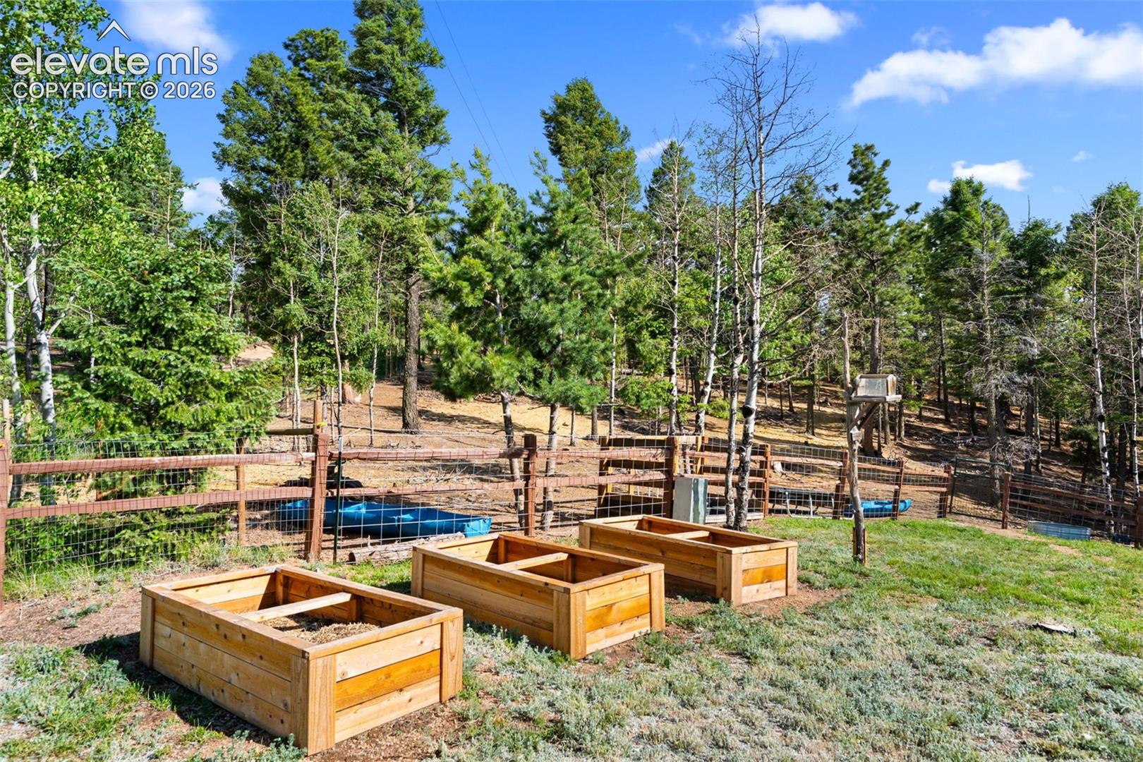 Front yard with raised beds