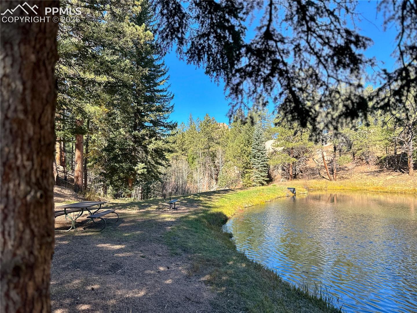 Photo 36 of 71 Durelli Drive, Woodland Park