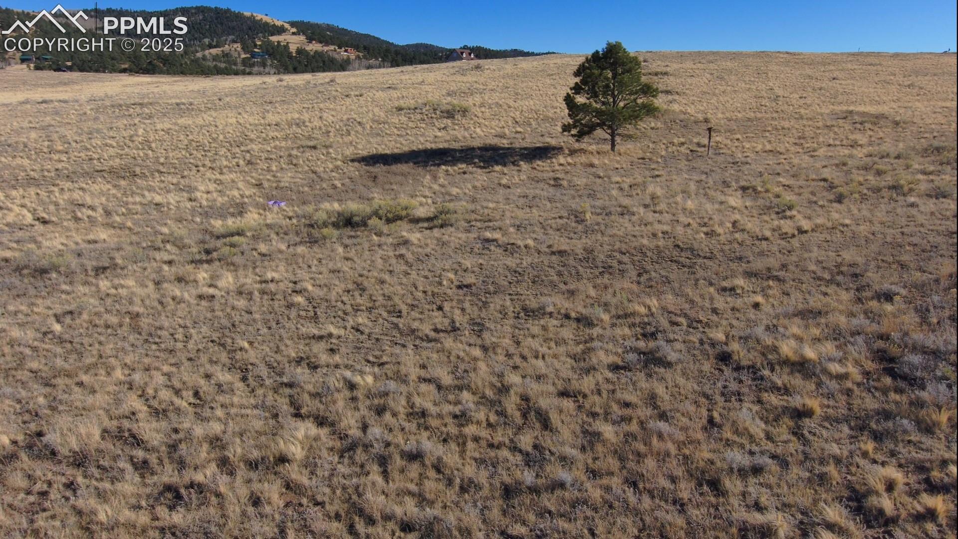 Photo 10 of 152 Wulstein Way, Westcliffe