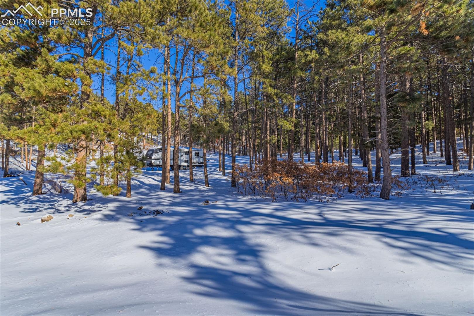 Photo 14 of 14420 S Perry Park Road, Larkspur
