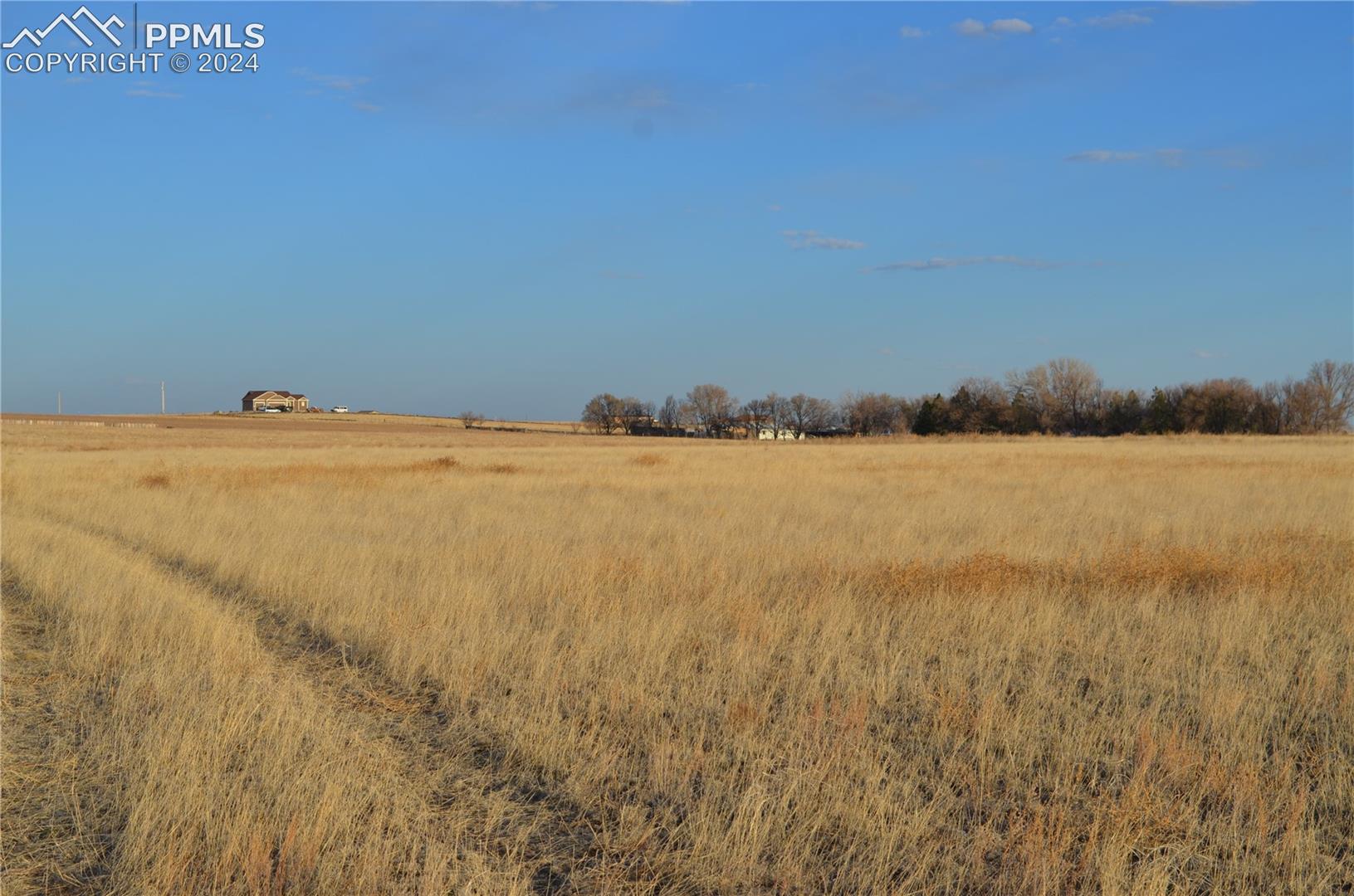 View of local wilderness with a rural view