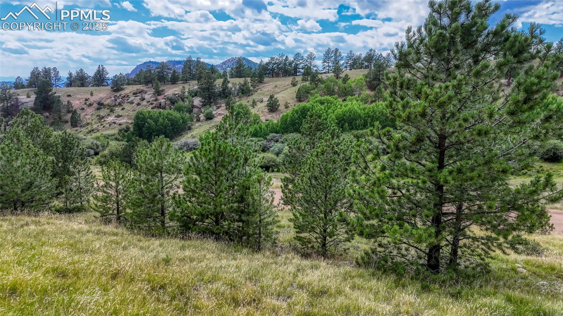 Photo 11 of 972 Anges Drive, Cripple Creek