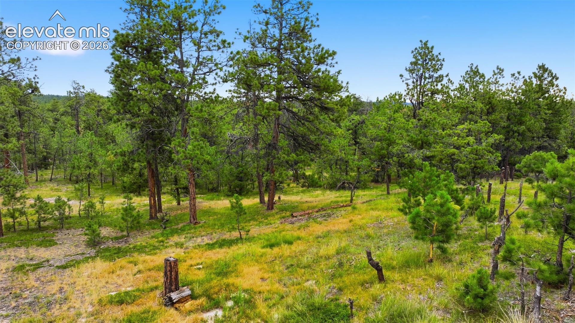 Photo 13 of 17374 Goshawk Road, Colorado Springs