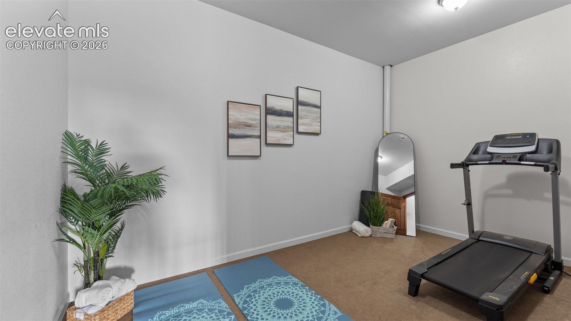 Neutral interior room featuring crisp white walls, carpeted flooring, and a flush-mount ceiling light