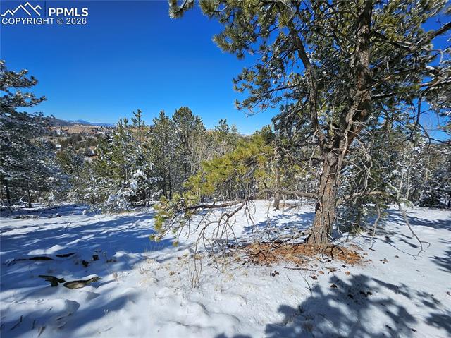 Photo 11 of 829 Princess Road, Cripple Creek