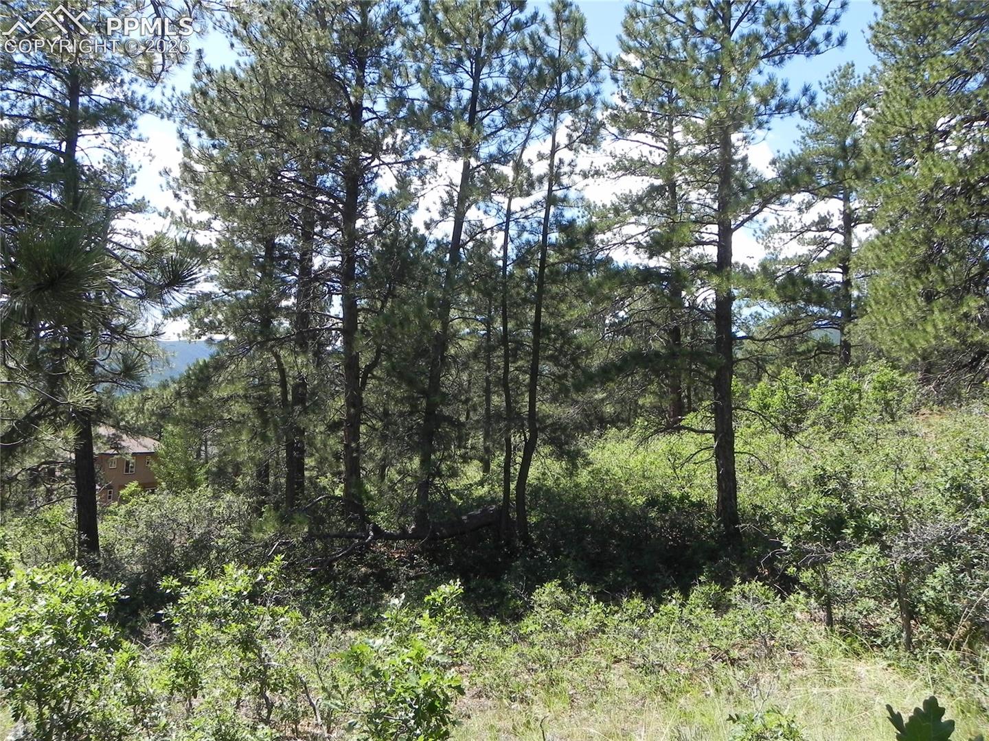 Photo 7 of 4144 Cheyenne Drive, Larkspur