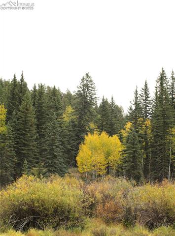 Fall colors