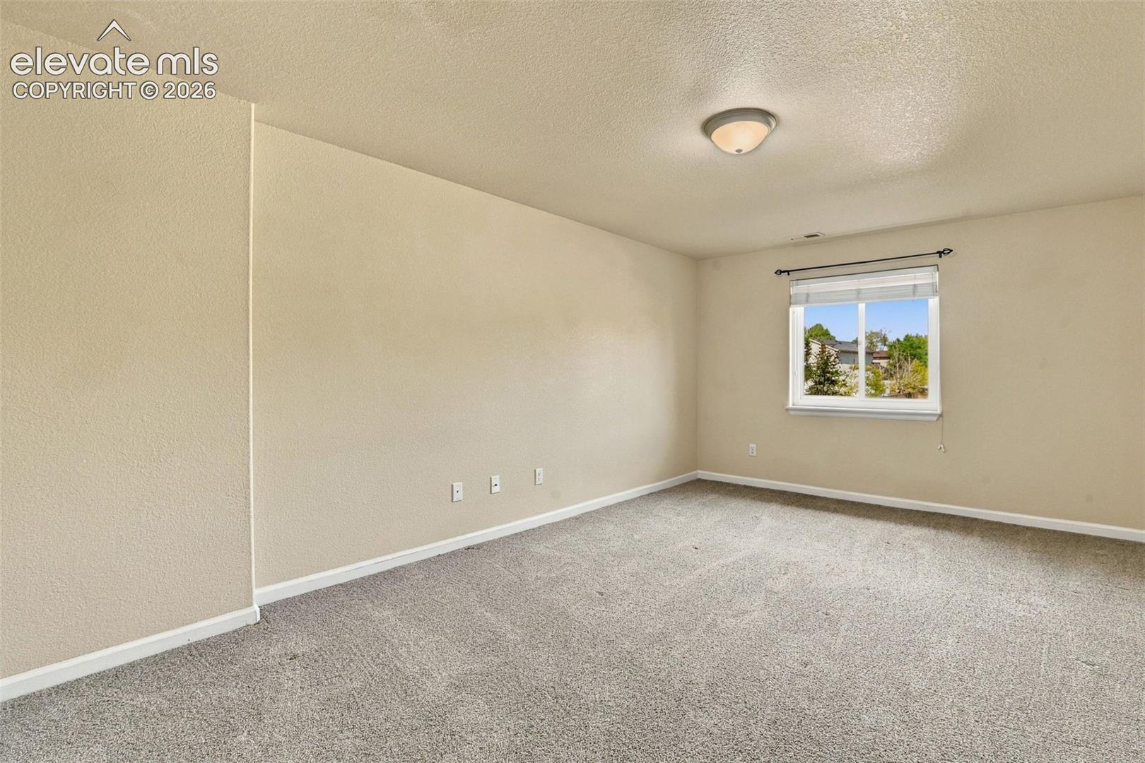 Lower level Bedroom featuring neutral-toned wall paint, neutral carpeting, a single-window configuration with a roller shade, and a flush-mount ceiling fixture