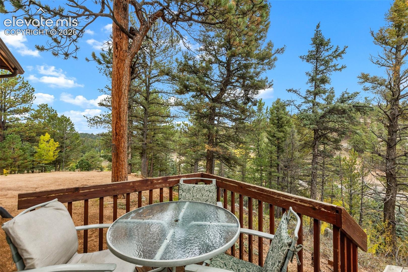 Expansive natural surroundings featuring mature trees and a clear sky