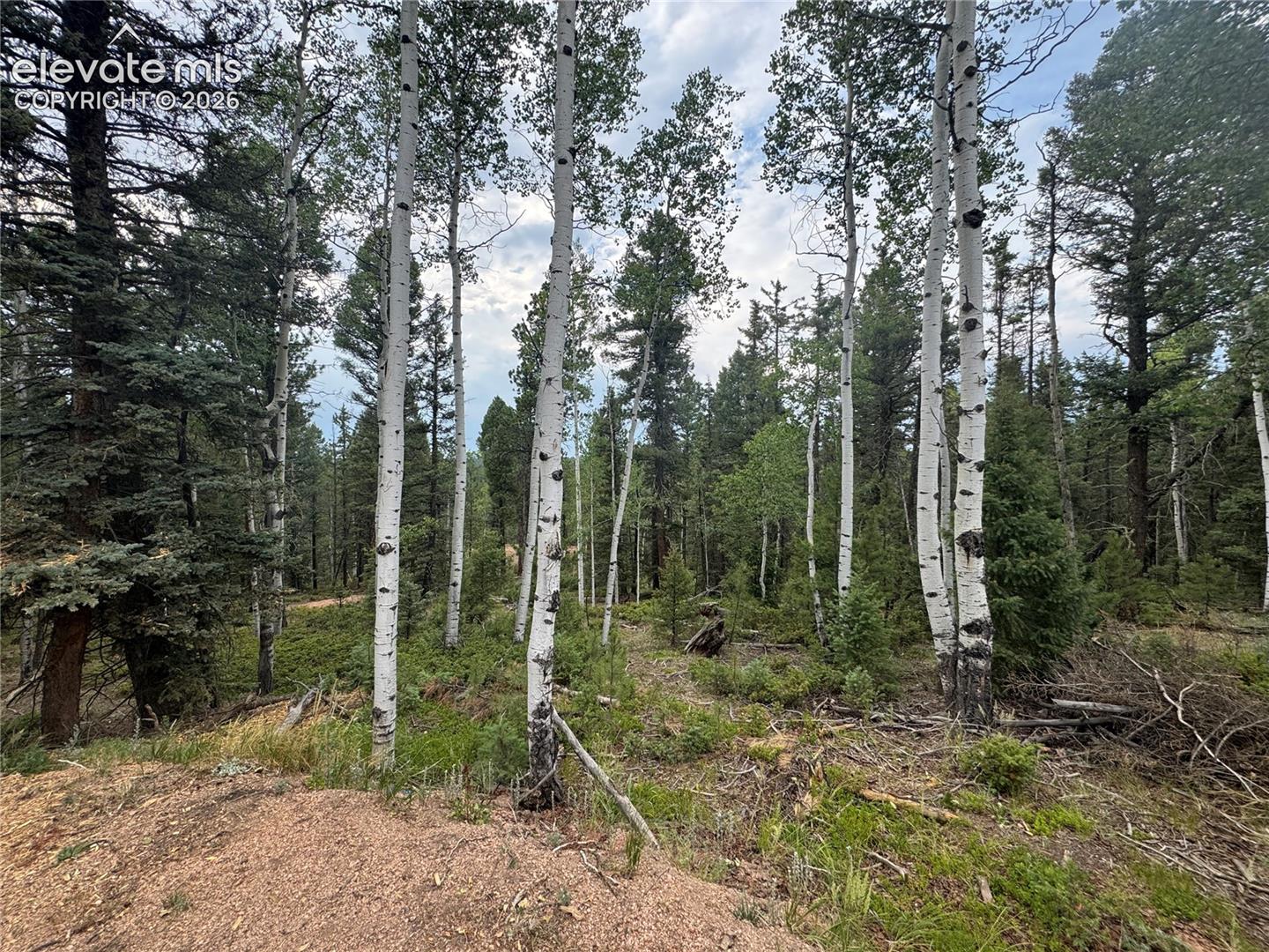 111 Elk Creek Dr, Divide, CO 80814